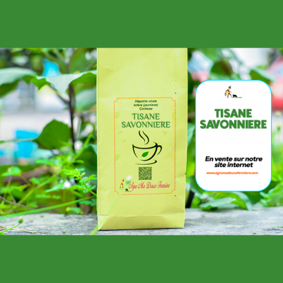 TISANE SAVONNIÈRE